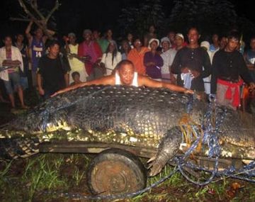 Mega croco
