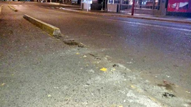 Dos jóvenes arrancaron los cordones de una bicisenda en Bahía Blanca