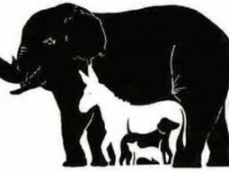 Este desafío revelará si sos un genio si podés resolverlo en poco tiempo