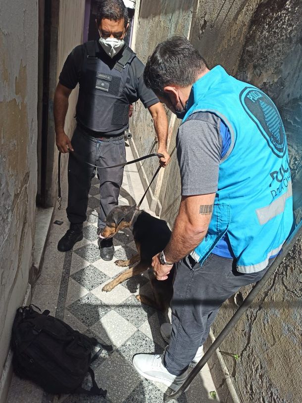 Rescatan a siete cachorritos abandonados sin alimento ni agua en una casa de Barracas