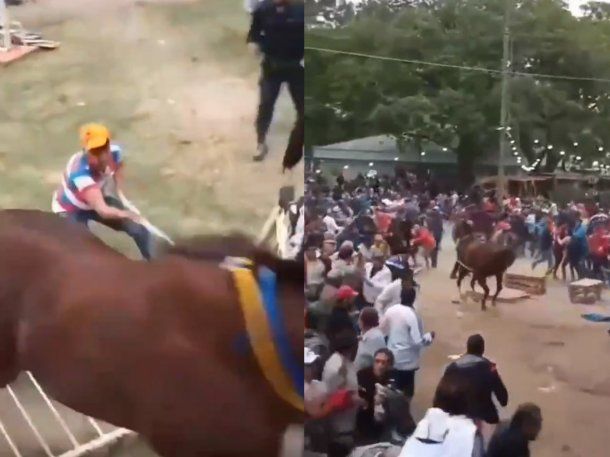 Santiago del Estero: pánico en un hipódromo por un caballo descontrolado