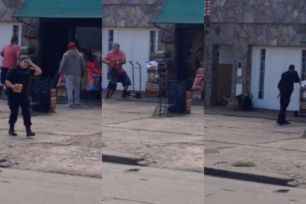 VIDEO: Un pitbull descontrolado atacó y mató a tres perros en La Plata