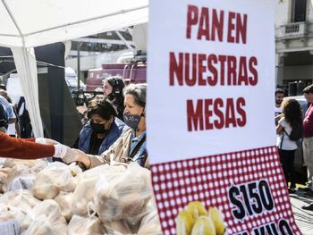 Pan a $150: dónde y cuándo