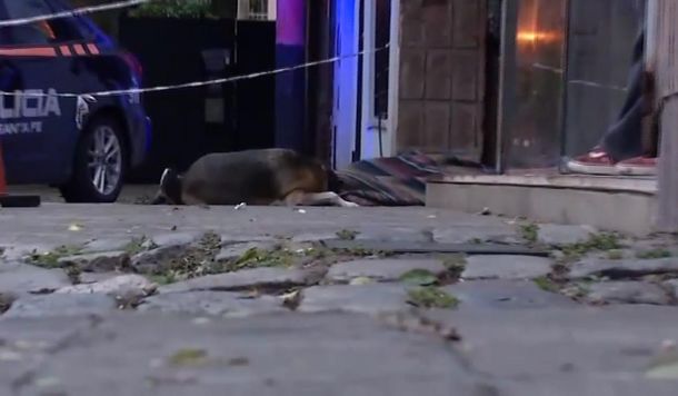 Rosario: murió un joven en situación de calle y su perro estuvo horas sin moverse de su lado