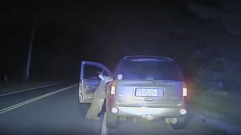 video: un ciervo quiere meterse dentro de una camioneta en la ruta video: un ciervo quiere meterse dentro de una camioneta en la ruta