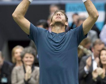 Del Potro arrancó con el pie derecho en el ATP de Marsella