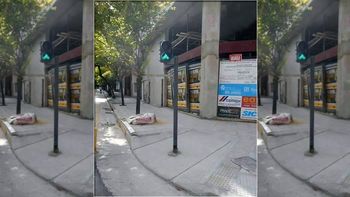 polemica en la ciudad por un semaforo polemica en la ciudad por un semaforo