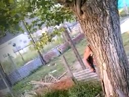 Los vecinos denuncian que el nene pasa horas atado a un árbol Los vecinos denuncian que el nene pasa horas atado a un árbol