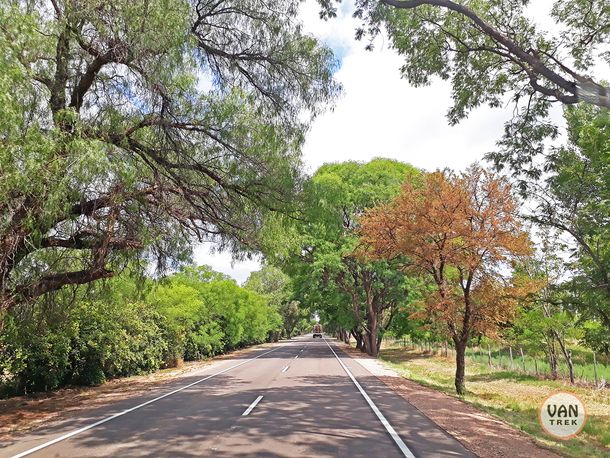 Encontraron a un hombre muerto al costado de la ruta en San Luis