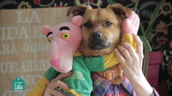 La versión más tierna de Despacito La versión más tierna de Despacito