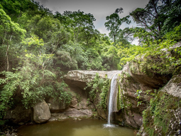 El destino en medio de la selva para ver animales, caminar y conectar con la naturaleza El destino en medio de la selva para ver animales, caminar y conectar con la naturaleza