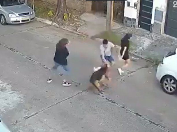 Feroz ataque: dos pastores alemanes se escaparon y mataron a un caniche