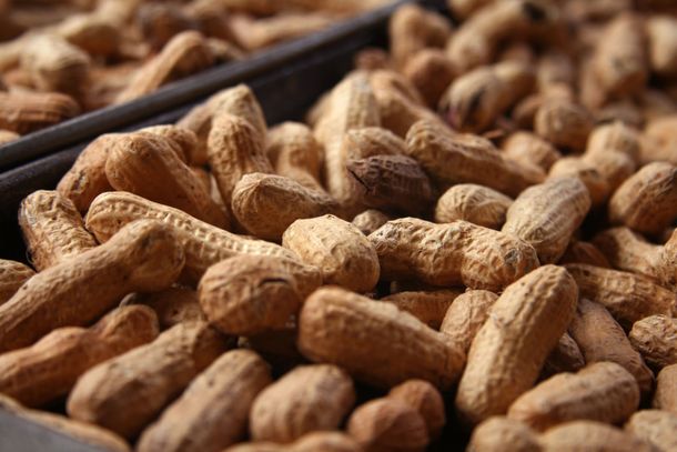 La AFIP detectó contrabando por u$s 1,3 millón en exportaciones de maní