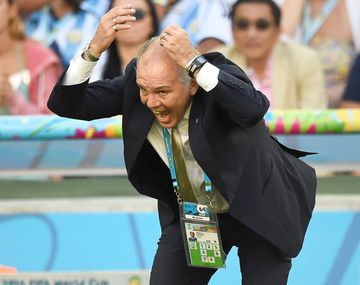 Sabella