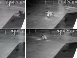 El hecho ocurrió en una casa ubicada en las calles 97 y 117