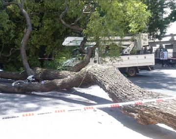 Ocurrió en avenida Entre Ríos al 900