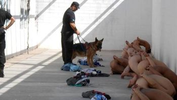 escandalo: denuncian torturas a chicos en carcel de san luis escandalo: denuncian torturas a chicos en carcel de san luis
