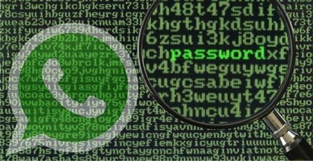 WhatsApp espía: conocé todos los accesos que tiene en tu teléfono