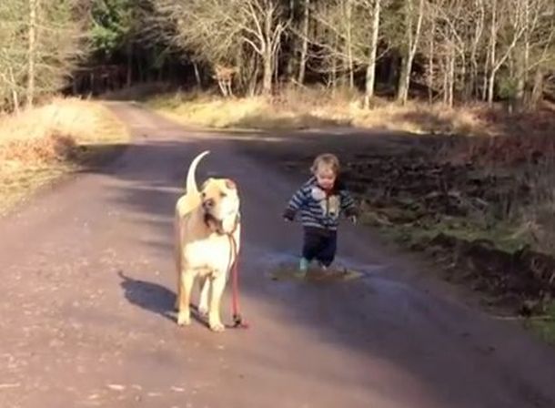 Mejores amigos: un perro de 12 años y un nene de 2