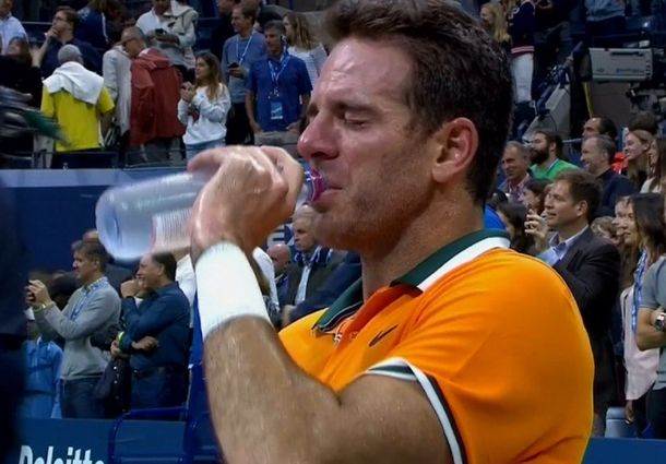 El emotivo mensaje de Del Potro luego de perder la final del US Open