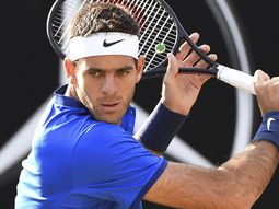 del potro jugara la copa davis en la serie ante italia del potro jugara la copa davis en la serie ante italia