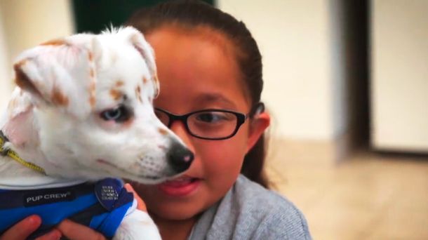 La tierna historia de una nena y su cachorro, ambos sordos, que se comunican por lenguaje de señas