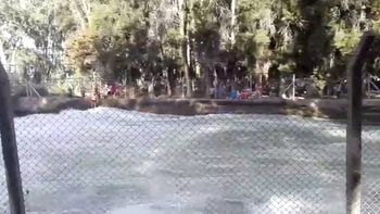 Peligrosa aventura de cinco chicos en Mendoza Peligrosa aventura de cinco chicos en Mendoza