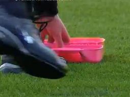 se enojo con el arbitro y le tiro los juguetes de su hija se enojo con el arbitro y le tiro los juguetes de su hija