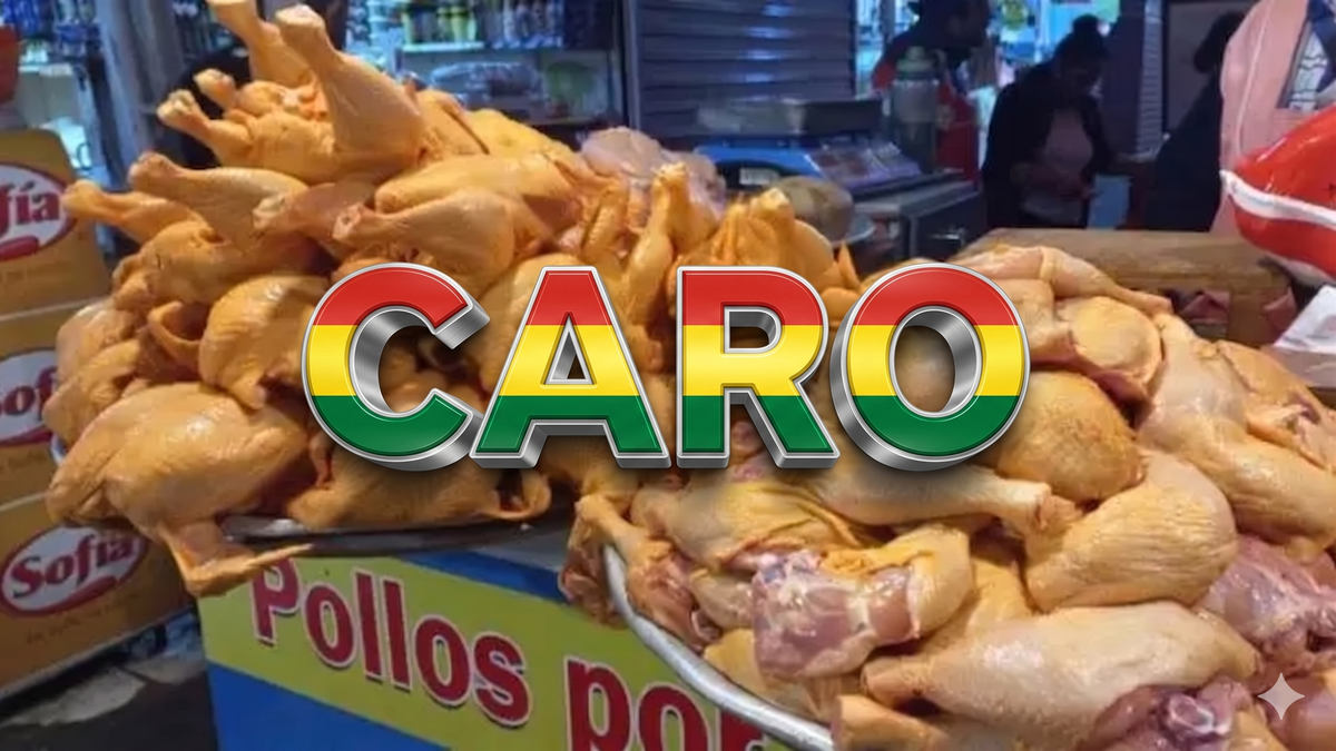 Imagen noticia completa