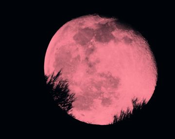 Luna Rosa: hoy se verá un fenómeno astronómico que no se da desde hace 50 años