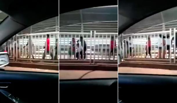 VIDEO: Les apuntaron con un arma y les robaron en plena senda peatonal