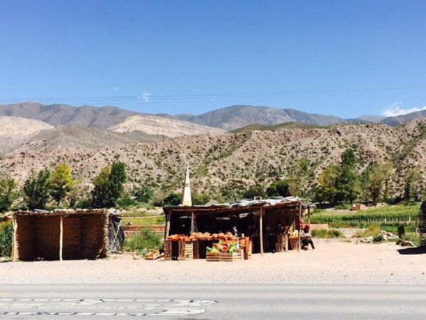 Conflicto territorial: vecinos del NOA cortan la ruta por la venta ilegal de tierras