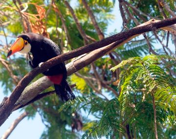 Gentileza diario El Litoral.