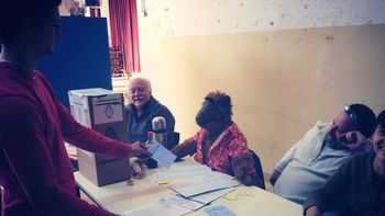 alf, una autoridad de mesa muy especial alf, una autoridad de mesa muy especial