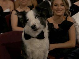 Oscar 2024: Messi, presente en la fiesta del cine de Hollywood