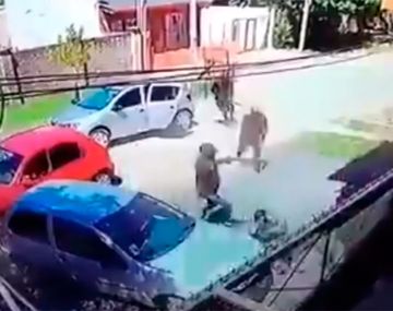 Robo de película en Moreno: 10 personas entraron a una casa vestidos de policías