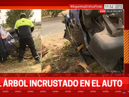 Tremendo choque en Soldati: atravesó un árbol y salió ileso