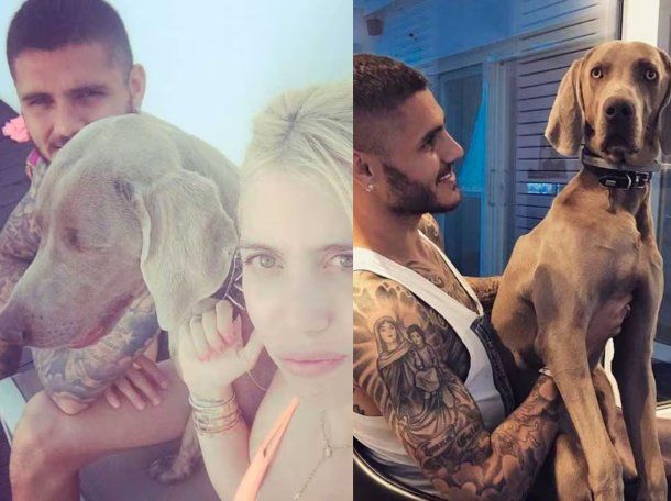 Aseguran que Mauro Icardi incineró a un perro de la familia frente a sus hijas