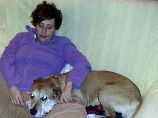 España sacrificó al perro de la enfermera con ébola