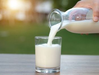 La recomendación de Harvard con respecto al consumo de leche