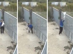 Abandonan a su perro tirándolo en una perrera