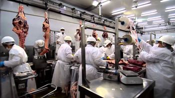 La industria frigorífica es una de las que más cayó en lo que va del año.