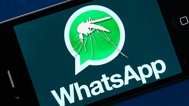 ¿Será verdad? El audio de WhatsApp sobre el dengue que preocupa a las madres