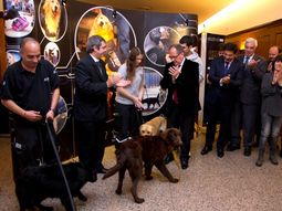 cinco canes de afip dejaran de buscar drogas y ayudaran a chicos autistas cinco canes de afip dejaran de buscar drogas y ayudaran a chicos autistas