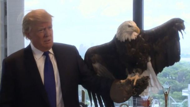 VIDEO: Donald Trump fue atacado por un águila en una sesión de fotos