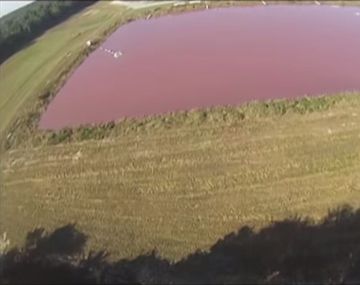 Un video asqueroso: una granja expulsa excremento al aire