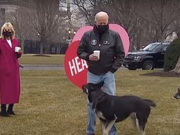 Los perros de Biden debieron dejar la Casa Blanca porque uno mordió a un seguridad