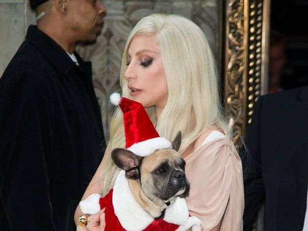 Condenaron al hombre que le disparó al paseador de perros de Lady Gaga