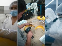 El video de la UIA que destacó Alberto Fernández