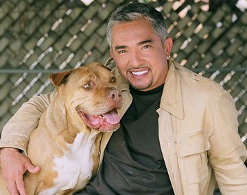 Demandan a encantador de perros 